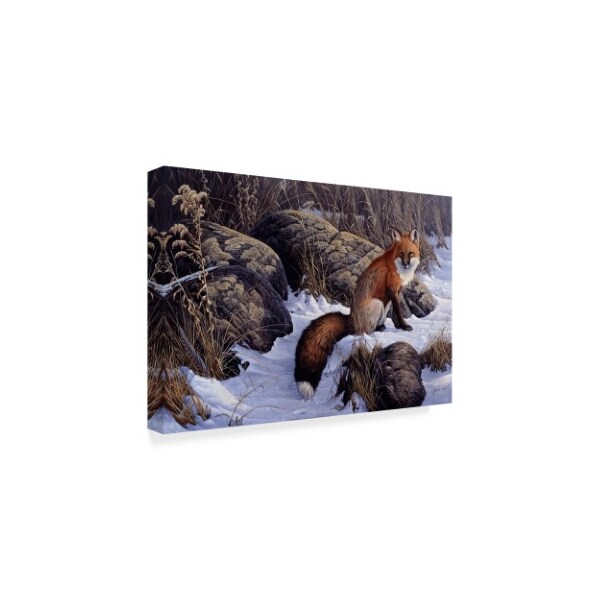 Wilhelm Goebel 'Mid Winter Pause Red Fox' Canvas Art,12x19